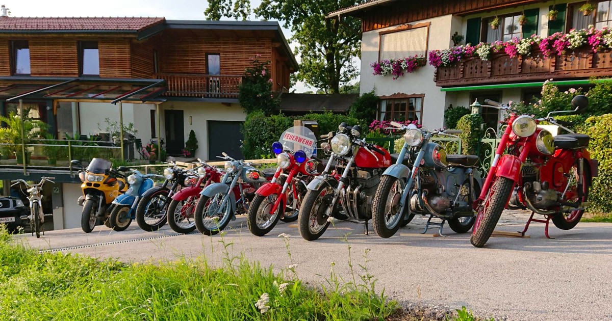 Puchs in Puch © Wintersteller Thomas